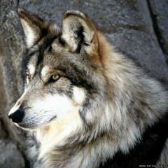 Эдуард Башкатов, 06.09.1990, Новогродовка