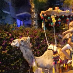 Зиля Агзамова, 19.09.1988, Астана