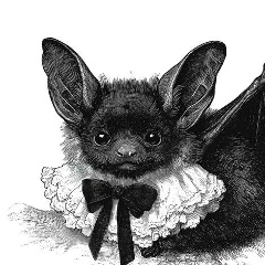 Дина Коршунова, 13.01.1989, Ростов-на-Дону