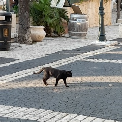 Григорий Шевчук, 08.08, Санкт-Петербург