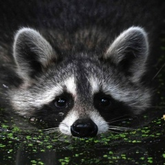 Игорь Потапюк, 23.06.1990, Симферополь