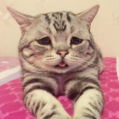 Анастасия Шевченко, Темрюк