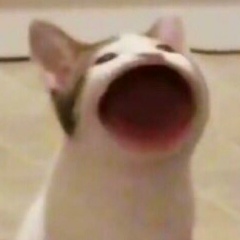 Дмитрий Гурков, 29.02.1960, Москва