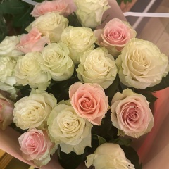 Юлия Логинова, Алматы