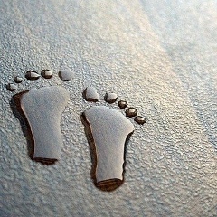 Дим Тим, 07.11.1984