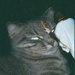 Никита Орлов, 12.04