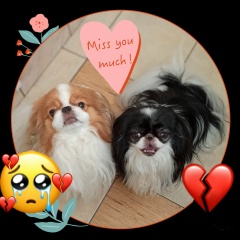 Алёна Маринина, 06.03