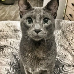 Евгений Васильев, 15.12.1988, Благовещенск