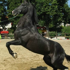 Кайрат Тлепбергенов, 08.10.1995, Астана