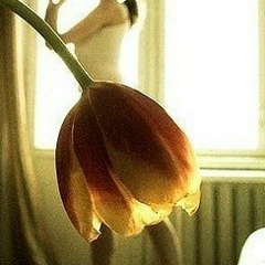 Светлана Астафьева, 02.07.1985, Санкт-Петербург