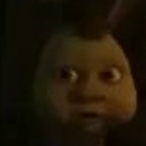 Денис Колесников, Санкт-Петербург