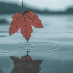 Ислам Мухтаров, Тула