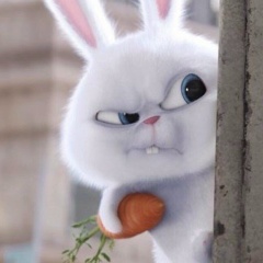 Адам Оздоев, 01.12.1991, Москва