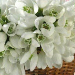 Асель Зиядинова, 30.01.1987, Астана