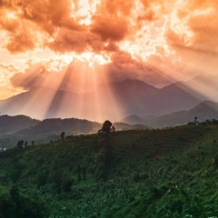 Вадим Каменев, 29.02, Санкт-Петербург