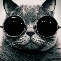 Андрей Козлов, 12.10, Киров