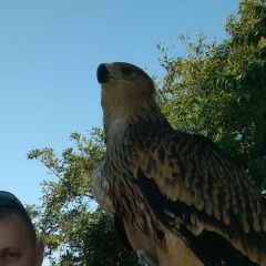 Виталий Зорин, 23.02.1983, Новосибирск