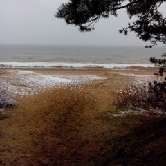 Галина Фофанова, 11.11.1979, Минск