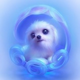 Нурай Белекова, 20.03.1997