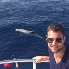 Владимир Лопушинский, 25.09, Одесса