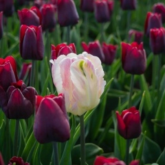 Оксана Крюкова, 05.05.1990