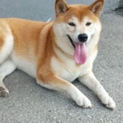 Андрей Иванов