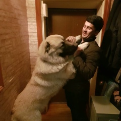 Аюб Файзуллозода, 29.08.1992, Харьков