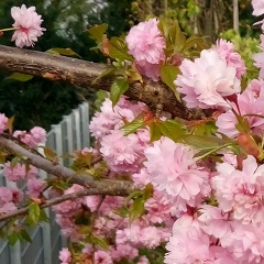 Наталья Панова, 24.07
