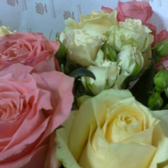 Zaitunam Battalova, 07.11.1987, Алматы