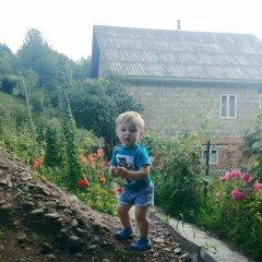 Ангелінка Ребар, Дубовое