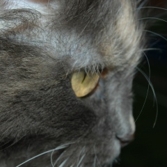 Алевтина Чиркова, 12.03.1984, Екатеринбург