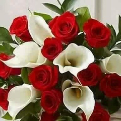 Мадина Нурашова, 22.07.1995, Алматы