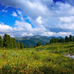 Лусине Лусине