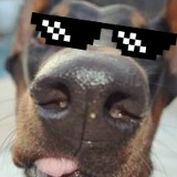 Денис Денисов, 11.08, Челябинск