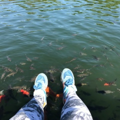 Юлия Цветкова, 26.04