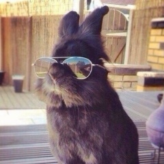 Евгений Сафронов, Santiago de Cuba