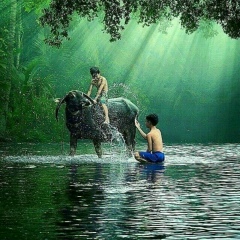 Hlaing Soe-Lin, 29.02.1984