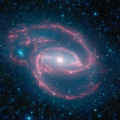 Михаил Данилов, 30.08.1984, Москва