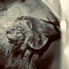 Геннадий Жуган, Симферополь