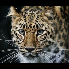 Алесечка Кутковецкая, 16.06.1980, Санкт-Петербург