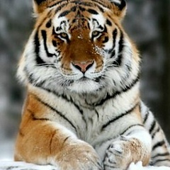 Gosha Zhukov, 10.10.1974, Киев