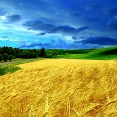 Дарья Карлина, Харьков