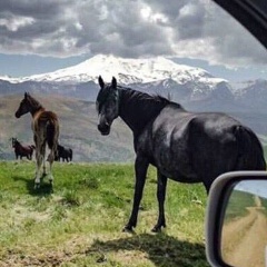 Хамзат Мудаев, 07.09.1996