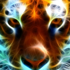 John Smith, 28.05, Астана