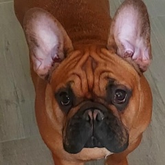 Анастасия К, Воронеж