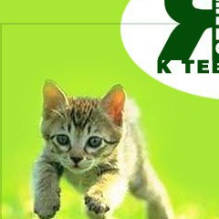 Вова Стецков, 04.06