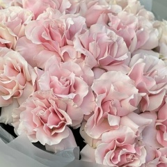 Виолетта Кальнова, 03.06.1987, Минск