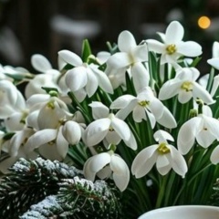 Нина Тапилина(Гончарова), 20.11, Фрунзе