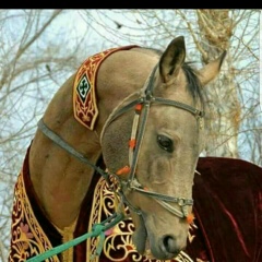 Самат Аширбаев, Кызылорда