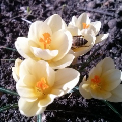 Інна Станкевич, 08.07, Бобринец